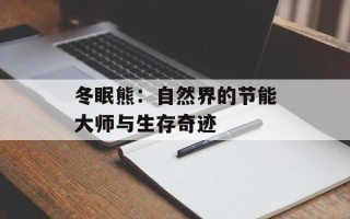 冬眠熊：自然界的节能大师与生存奇迹
