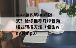 wav怎么转mp3格式？给你推荐几种音频格式转换方法（包含wav转mp3）