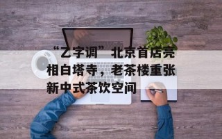 “乙字调”北京首店亮相白塔寺，老茶楼重张新中式茶饮空间