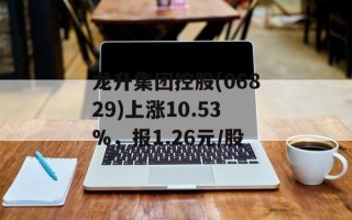 龙升集团控股(06829)上涨10.53%，报1.26元/股