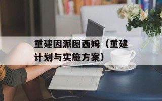 重建因派图西姆（重建计划与实施方案）