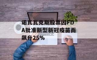 诺瓦瓦克斯股票因FDA批准新型新冠疫苗而飙升25%