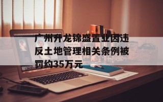 广州升龙锦盛置业因违反土地管理相关条例被罚约35万元
