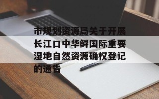 市规划资源局关于开展长江口中华鲟国际重要湿地自然资源确权登记的通告