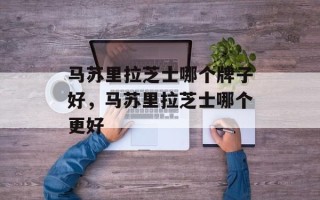 马苏里拉芝士哪个牌子好，马苏里拉芝士哪个更好
