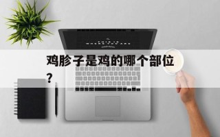 鸡胗子是鸡的哪个部位？