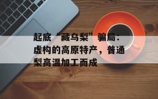 起底“藏乌梨”骗局：虚构的高原特产，普通梨高温加工而成
