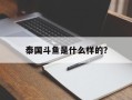 泰国斗鱼是什么样的？