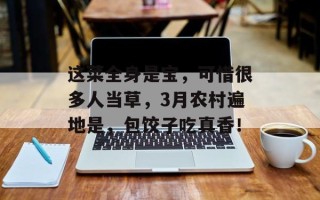这菜全身是宝，可惜很多人当草，3月农村遍地是，包饺子吃真香！