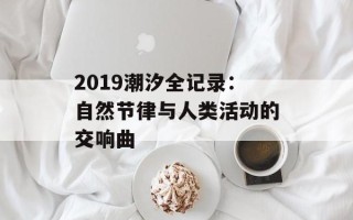 2019潮汐全记录：自然节律与人类活动的交响曲