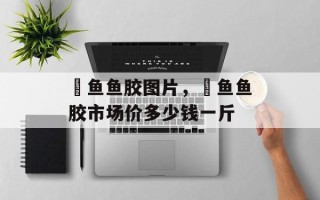 鮸鱼鱼胶图片，鮸鱼鱼胶市场价多少钱一斤