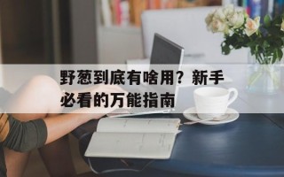 野葱到底有啥用？新手必看的万能指南