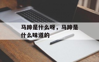 马蹄是什么呀，马蹄是什么味道的