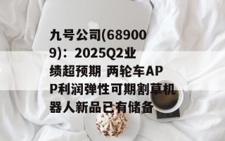 九号公司(689009)：2025Q2业绩超预期 两轮车APP利润弹性可期割草机器人新品已有储备