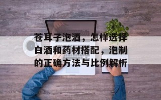 苍耳子泡酒，怎样选择白酒和药材搭配，泡制的正确方法与比例解析
