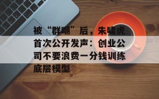被“群嘲”后，朱啸虎首次公开发声：创业公司不要浪费一分钱训练底层模型