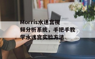 Morris水迷宫视频分析系统，手把手教学水迷宫实验方法