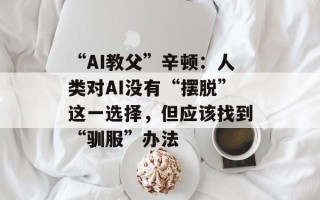 “AI教父”辛顿：人类对AI没有“摆脱”这一选择，但应该找到“驯服”办法