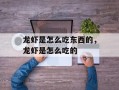 龙虾是怎么吃东西的，龙虾是怎么吃的