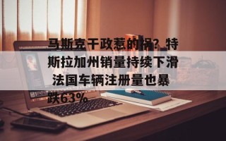 马斯克干政惹的祸？特斯拉加州销量持续下滑 法国车辆注册量也暴跌63%
