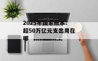 2025年国家账本：超50万亿元支出用在哪