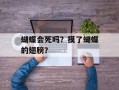 蝴蝶会死吗？摸了蝴蝶的翅膀？