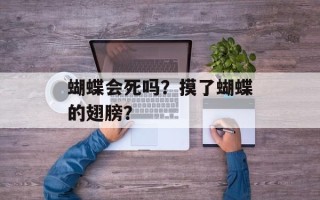 蝴蝶会死吗？摸了蝴蝶的翅膀？