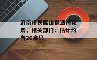济南市民爬山偶遇梅花鹿，相关部门：估计约有20余只