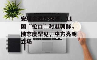 安理会激烈交锋，11国“枪口”对准朝鲜，俄态度罕见，中方亮明立场