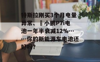 特斯拉刚买3个月电量异常、​小鹏P7i电池一年半衰减12%……你的新能源车电池还好吗？