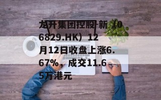 龙升集团控股-新（06829.HK）12月12日收盘上涨6.67%，成交11.65万港元
