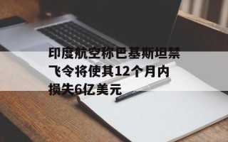 印度航空称巴基斯坦禁飞令将使其12个月内损失6亿美元