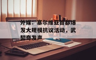 外媒：塞尔维亚首都爆发大规模抗议活动，武契奇发声