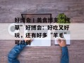 好博会丨美食博主“种草”好博会：好吃又好玩，还有好多“羊毛”可以薅