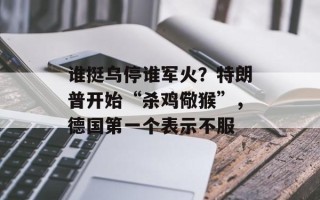 谁挺乌停谁军火？特朗普开始“杀鸡儆猴”，德国第一个表示不服