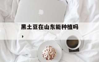 黑土豆在山东能种植吗，