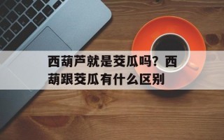 西葫芦就是茭瓜吗？西葫跟茭瓜有什么区别