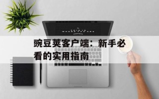 豌豆荚客户端：新手必看的实用指南