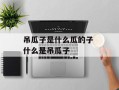 吊瓜子是什么瓜的子 什么是吊瓜子