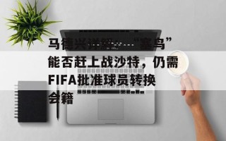 马德兴详解：“塞鸟”能否赶上战沙特，仍需FIFA批准球员转换会籍