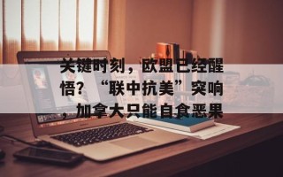 关键时刻，欧盟已经醒悟？“联中抗美”突响，加拿大只能自食恶果