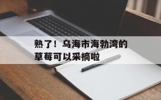 熟了！乌海市海勃湾的草莓可以采摘啦