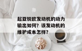 起亚锐欧发动机的动力输出如何？该发动机的维护成本怎样？