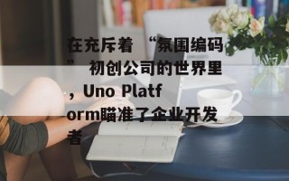 在充斥着 “氛围编码” 初创公司的世界里，Uno Platform瞄准了企业开发者