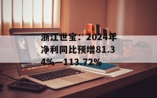 浙江世宝：2024年净利同比预增81.34%―113.72%