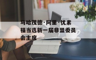 马哈茂德·阿里·优素福当选新一届非盟委员会主席