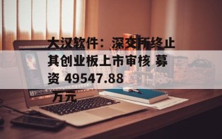 大汉软件：深交所终止其创业板上市审核 募资 49547.88 万元