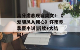 高分虐恋现言爽文！《爱随风入我心》许南荞裴暨小说|后续+大结局！