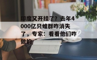 印度又开挂了？去年4000亿只蝗群咋消失了，专家：看看他们咋做的