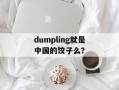 dumpling就是中国的饺子么？